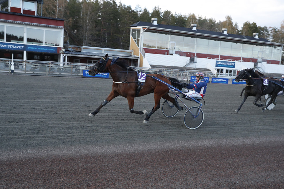 Global Skipper mål.jpg