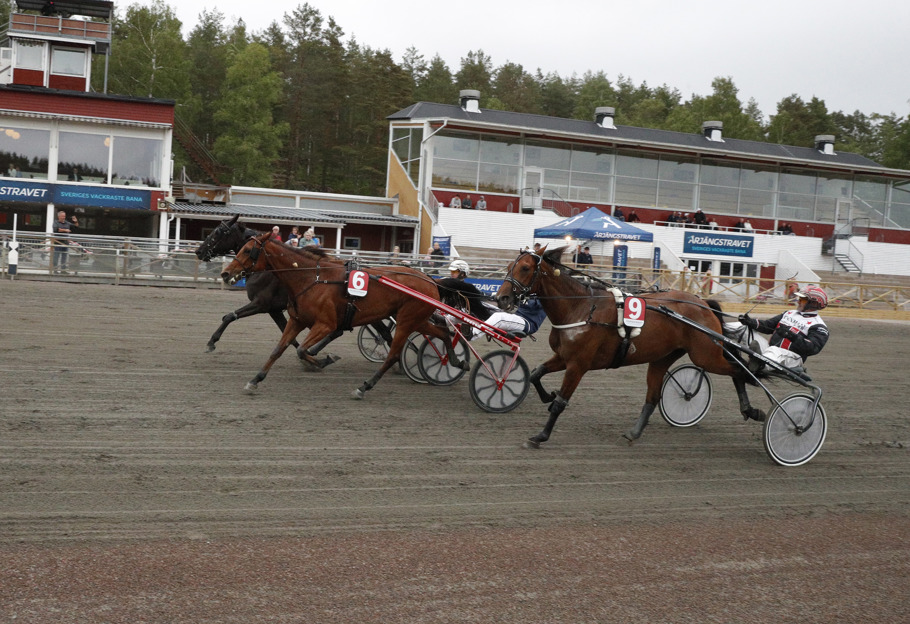 Helen Star mål.jpg
