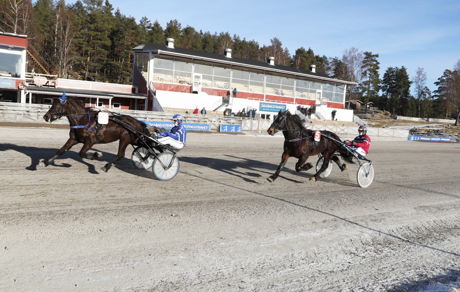 Åse mona mål.jpg