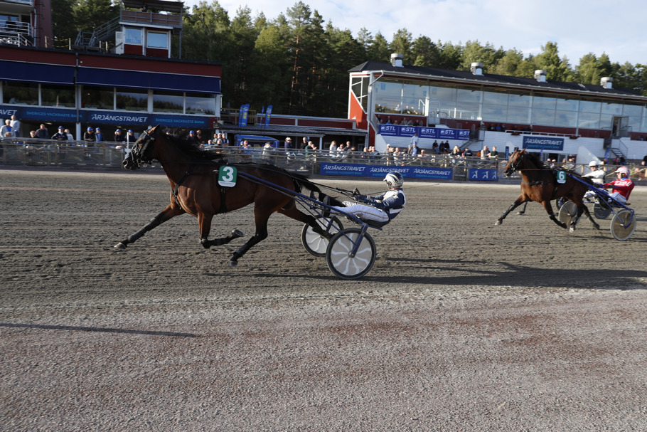 Borups Vallmo mål .jpg