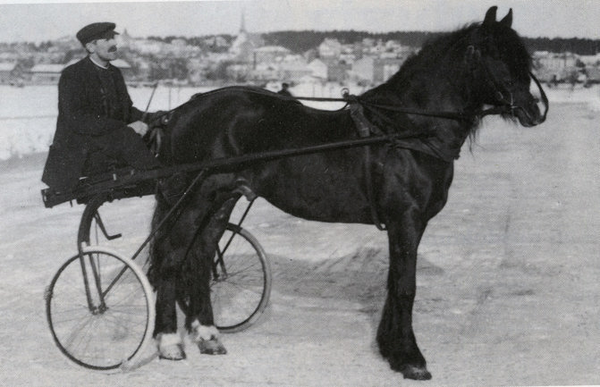 Erik Persson