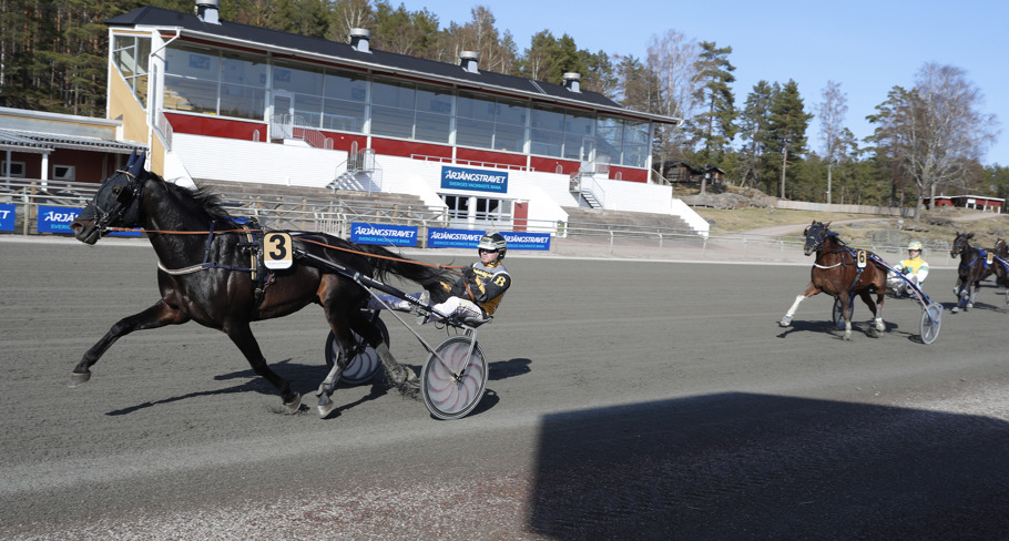 Golden Guard mål.jpg