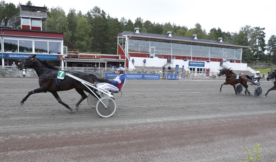 Alegrito mål.jpg