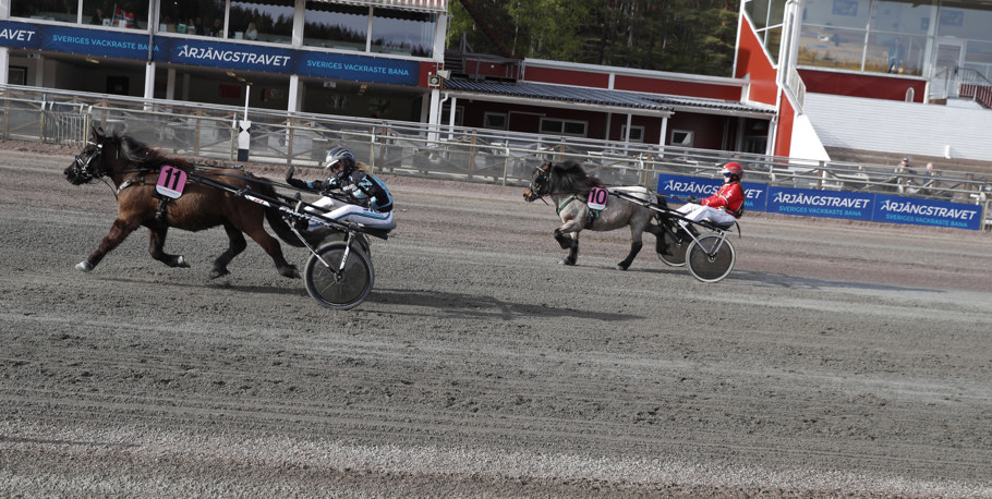 Gold Chess mål.jpg