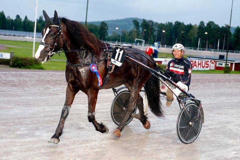 remlov 6 segrar.jpg