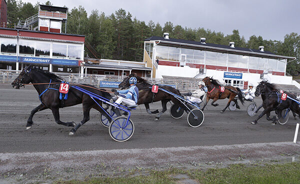 bjocc88rnemyr-dennis-mg0710-600x368.jpg