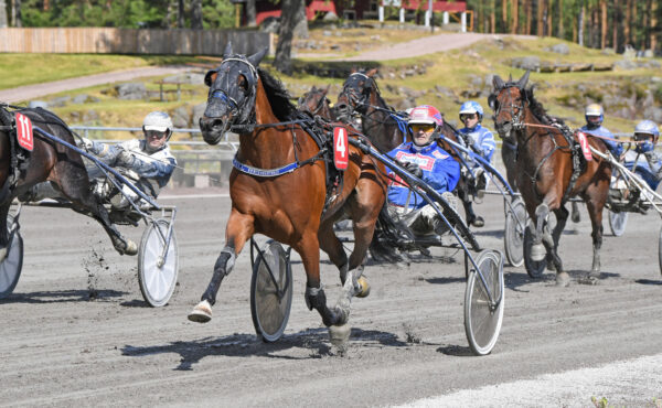 fredric-palema-mal-72-600x370.jpg
