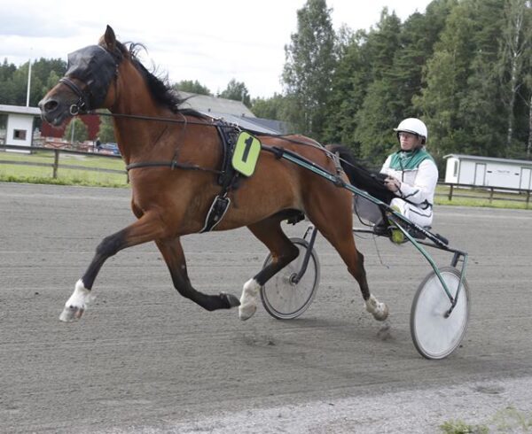 merete-600x490.jpg