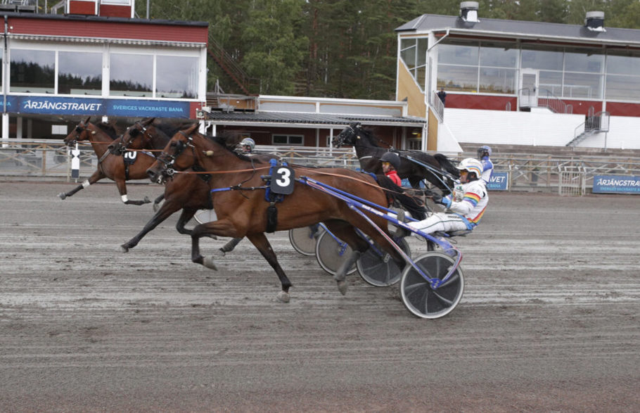 vikings-topline-macc8al-1024x660.jpg