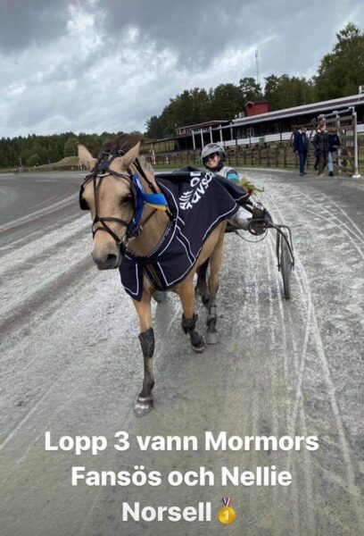 mormor-amal-408x600.jpg