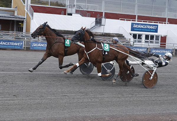 4_athos-race-mg1004.jpg