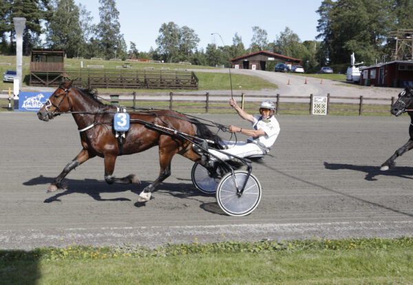 stjacc88rnviking-macc8al-600x414.jpg