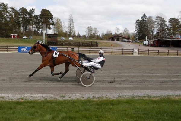 edler-2-600x400.jpg