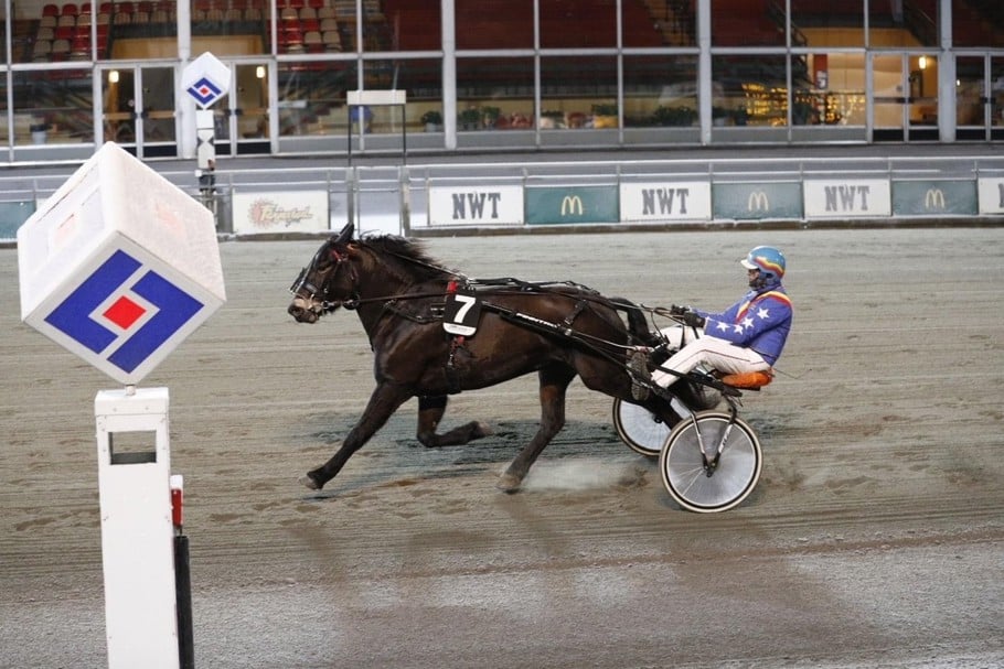 Fina Stjernelita4.jpg