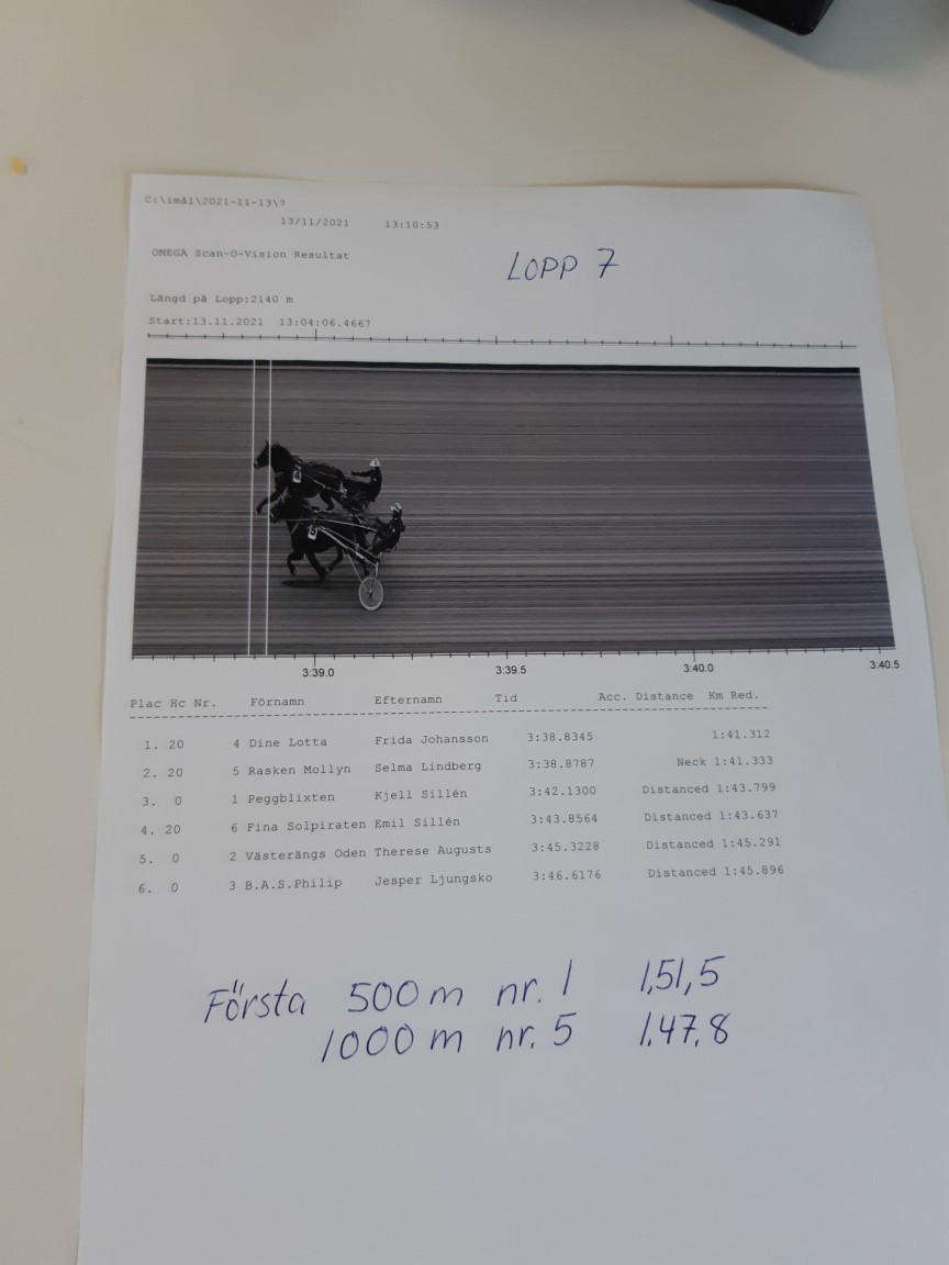Lopp 7.jpg