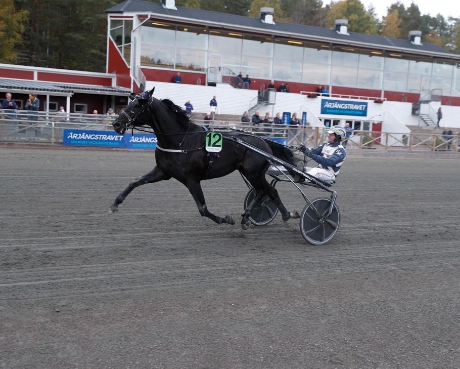 Mål millmighty.jpg
