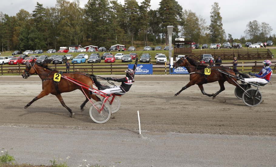 Edler mål.jpg