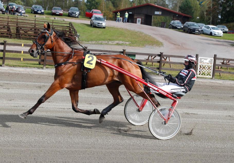 eler och selma.jpg