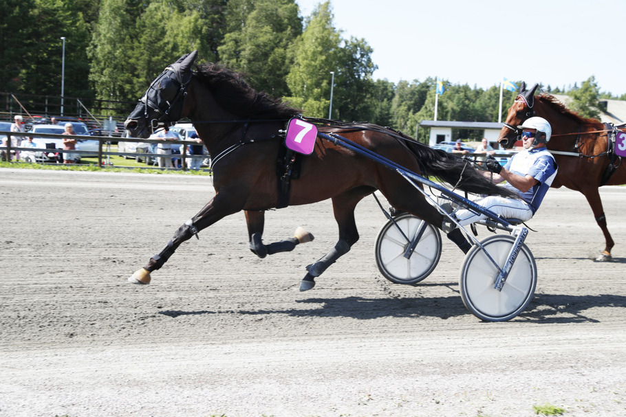 Fast Fluffy mål (002).jpg