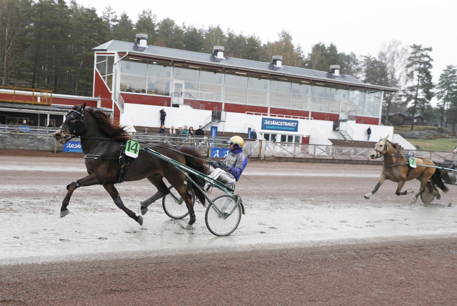 Guli Fantom mål.jpg