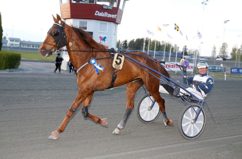 Jatzy jazz romme.jpg