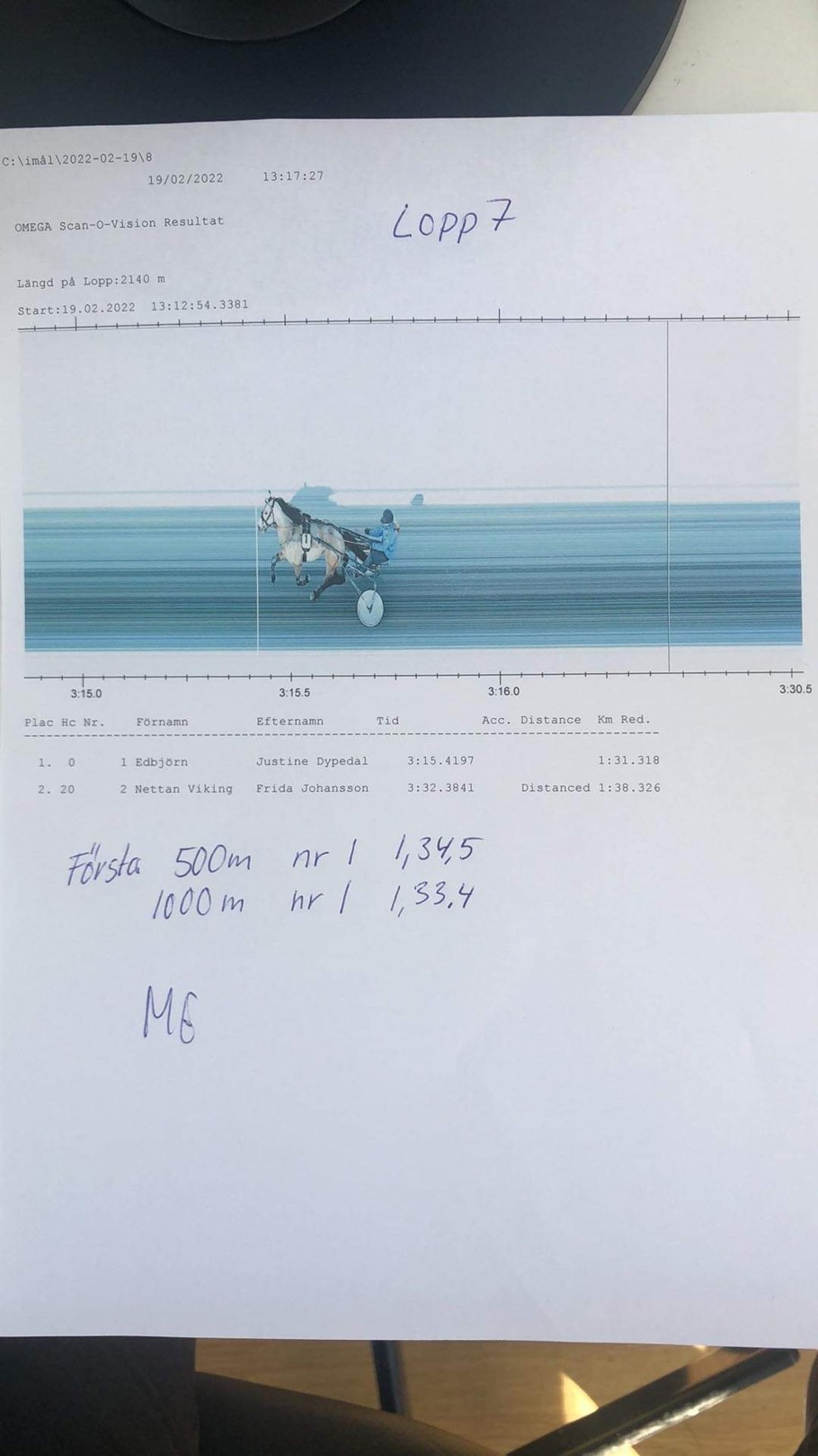 Lopp 7.jpg