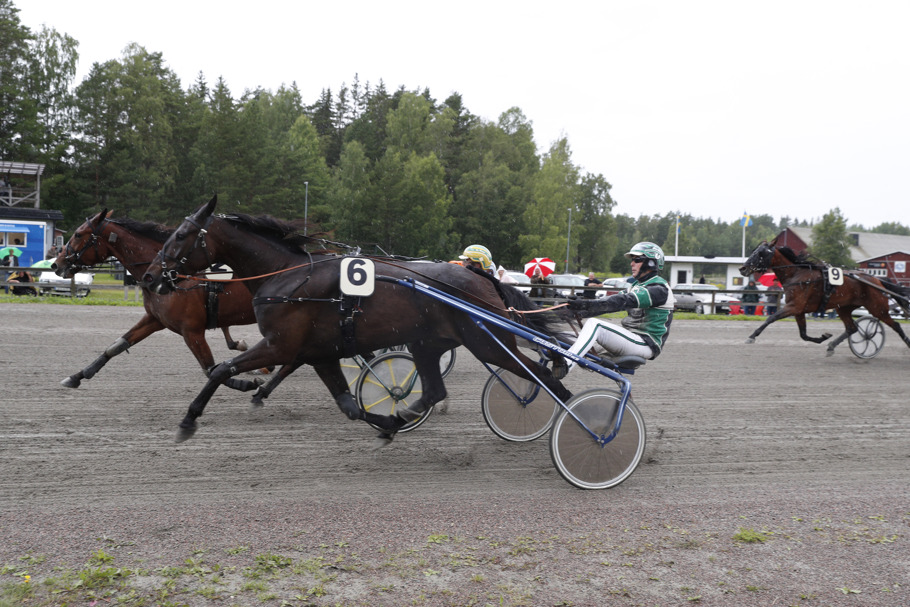 SJMade IH mål_ (002).jpg