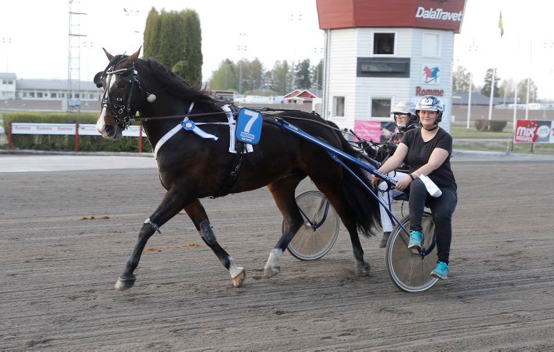 Troll Tundra romme.jpg