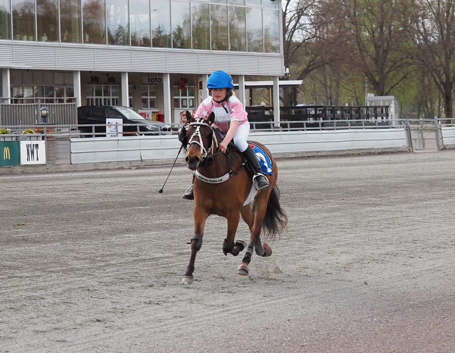 Vinnare av lopp 14 Thai Tonic o Lea Mattsson.jpg