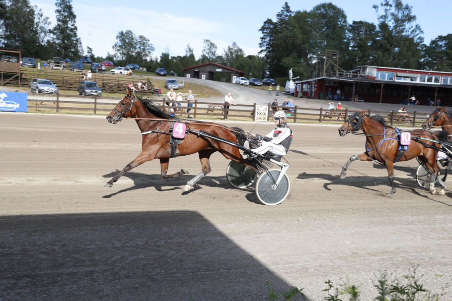 Koral Dragon mål.jpg