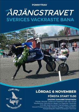 ponnyprgram årjäng 6 nov.JPG