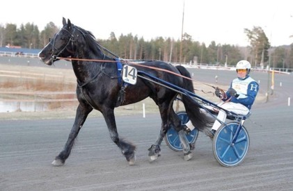 Nordby fröy.jpg