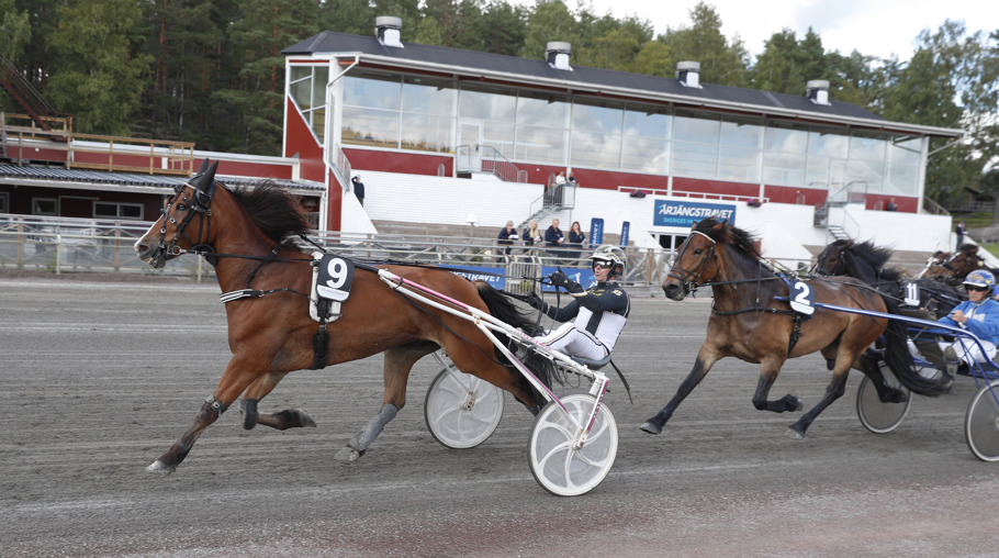 Orvar Mollyn mål.jpg