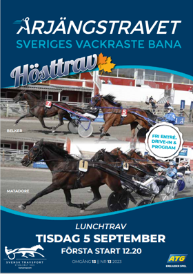 Skärmbild 2023-08-31 131612.png