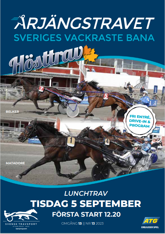 Skärmbild 2023-08-31 131612.png